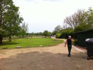 Carriage apartment Idyllic courtyard on Seaside - 6