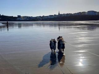 2 Bed in Tenby oc-fb205 - 3