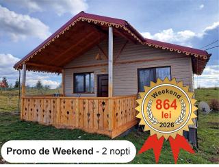 Cabana de lemn Runcu Stone - 0