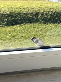 HaRe Ferienwohnungen - 9