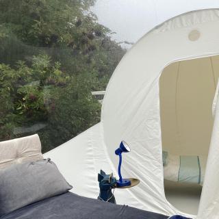 Wooded Bubble - 8
