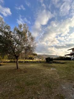 Zambrone sea retreat - 2