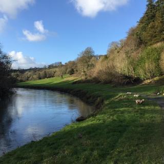 Moorleigh House Entire Property Sleeps 10 - 5