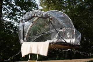 Tiny bubble Tree Tent in private woodland - 0