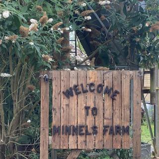 Tiny bubble Tree Tent in private woodland - 6