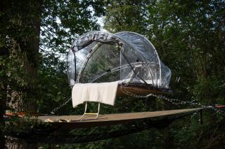 Tiny bubble Tree Tent in private woodland - 2