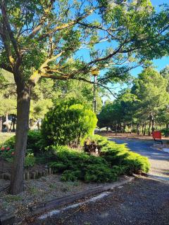 Camping Nature, Camping cerca de las Bardenas Reales - 5