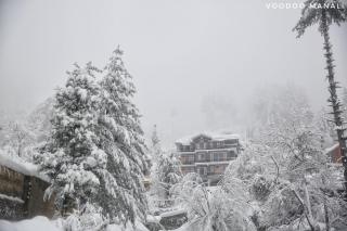 North star Manali - 6