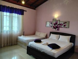 Albion Nest Galle - 1