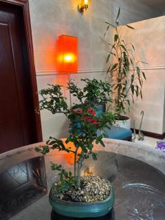 Happy Ours Guesthouse - 8