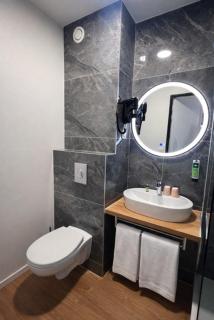 Logis Hotel Altina - 1