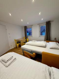 Unique Bnb Jungle Apartment Leaf - 3