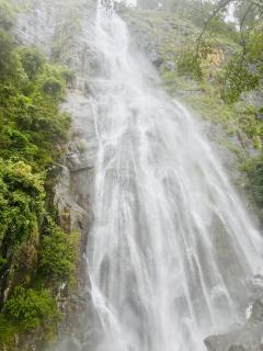 Bambarakanda eco resort -  - 6