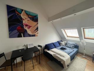 Cool city apartment on 2 floors, near main station, trade fair - 5