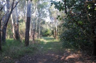 Enchanted Garden - 5