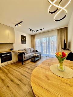 SILESIA PRIME Apartments BELG Przemysłowa Studio, Wi-fi, Garage - 0