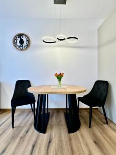 SILESIA PRIME Apartments BELG Przemysłowa Studio, Wi-fi, Garage - 6