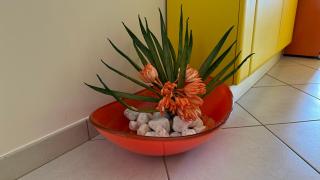 Sea Colors Apartment - 2