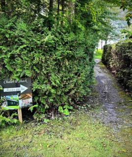 Spa Relaxation & Adventure - Lapointe du Lac - 2