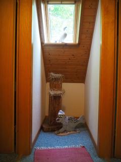 Ferienhaus Lübs - 2