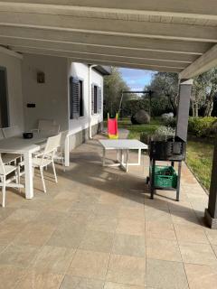 Villa San Pellegrino in the Olive Grove - 3