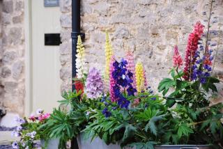 The Granary at Little Howle Farm - 9