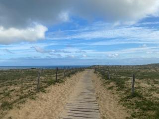 Small villa in Hossegor with Garden - 4
