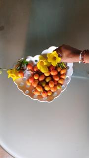 Bangalô Flor Aconchego Montanha Refúgio na Natureza - 3