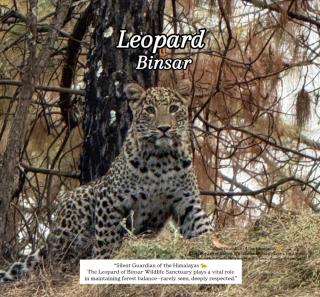 The Himalayan Heaven Homestay, Binsar - 2