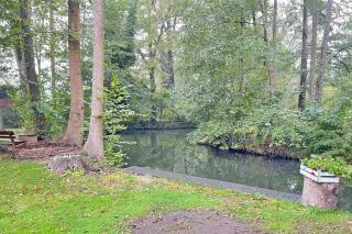 Spreeblick Baum 5 - 5