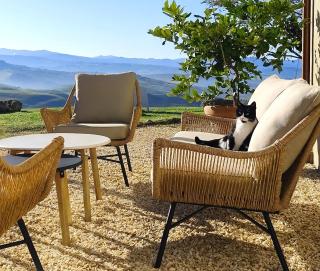 Podere Campiano Camere - 2