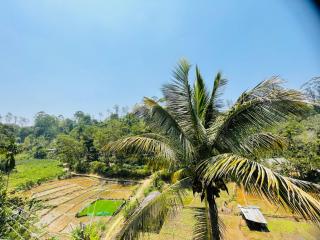 Treetops ella - Ella - 8