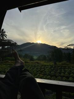 Lumbung Uma Nadi Villas - 7