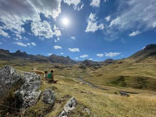 Galhareta, La Maison Rose - 7