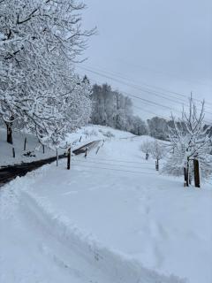 3osobowym namiot - 3