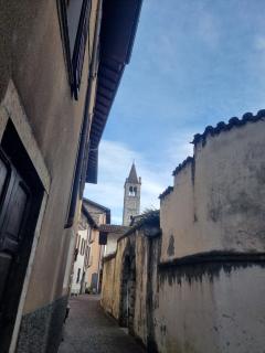 sunflower apartment - 0