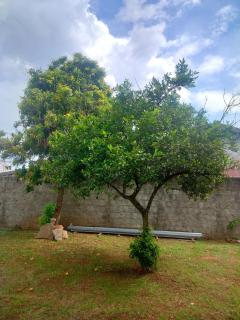 Casa 2 quartos próx buriti shop com garagem - 8