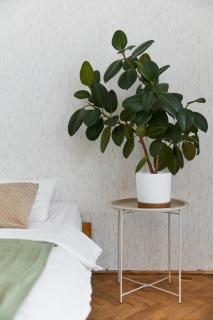 Braniskova Royal View - 1