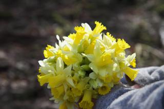 Gîte Banet-Sart à Daverdisse - 7