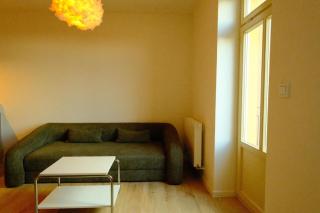 ChlumovaNest Apartments Žižkov, close to the city center - 7