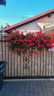 Apartament Pół Domu Nad Jeziorami - 6