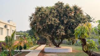 Aara Farmstay - 8