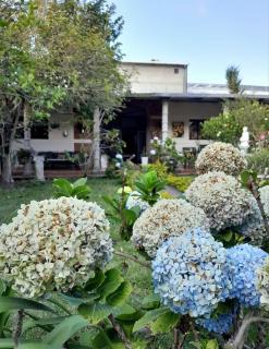 GuacamayaGuestHouse - 8