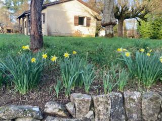 Maison David - Nantiat - 9