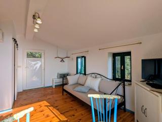 Holiday Home Dalmatinska Kuća - 5