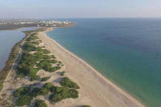 Villa Tati con Piscina a soli 550 mt dal mare di Torre Colimena - 8
