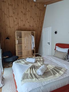 ArcChalet Transylvania - 2