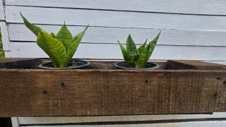 Suíte privativa 3, Exclusiva! - 1