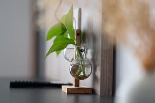 MM Apartment - 2