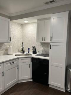 Spacious 3 bed 3 bath apartment near airport UB - 3